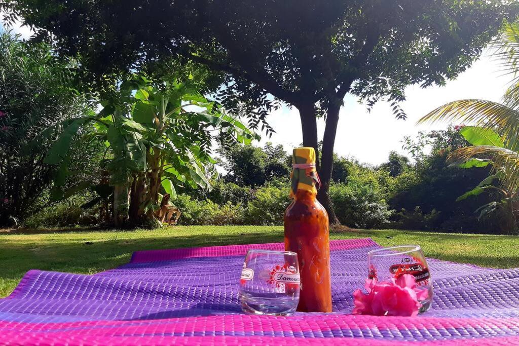 Ti Coin Relax Bungalow Vue Mer Piscine Privee Saint-Francois  Luaran gambar
